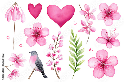 Fototapeta Naklejka Na Ścianę i Meble -  Watercolor Pink Flowers, Hearts, and Bird Design Elements