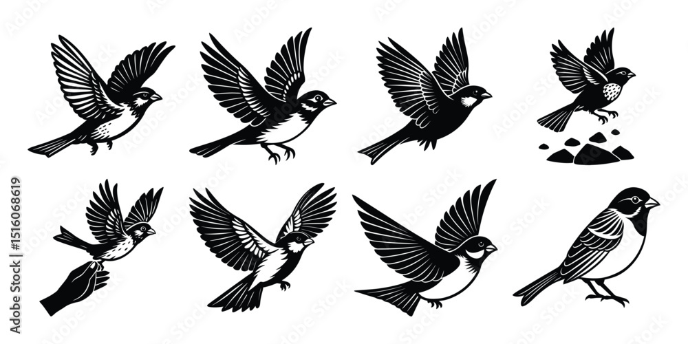 Obraz premium Various birds flying vector pattern animal Silhouette bundles.