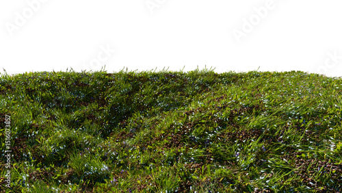3D rendered grassy slope with wild flowers  on a sunny day isolated on transparent background. 3D rendering of spring grass landscape with scattered flowers.  