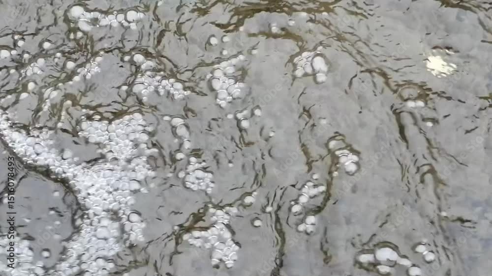 川の流れ 川の流れ
