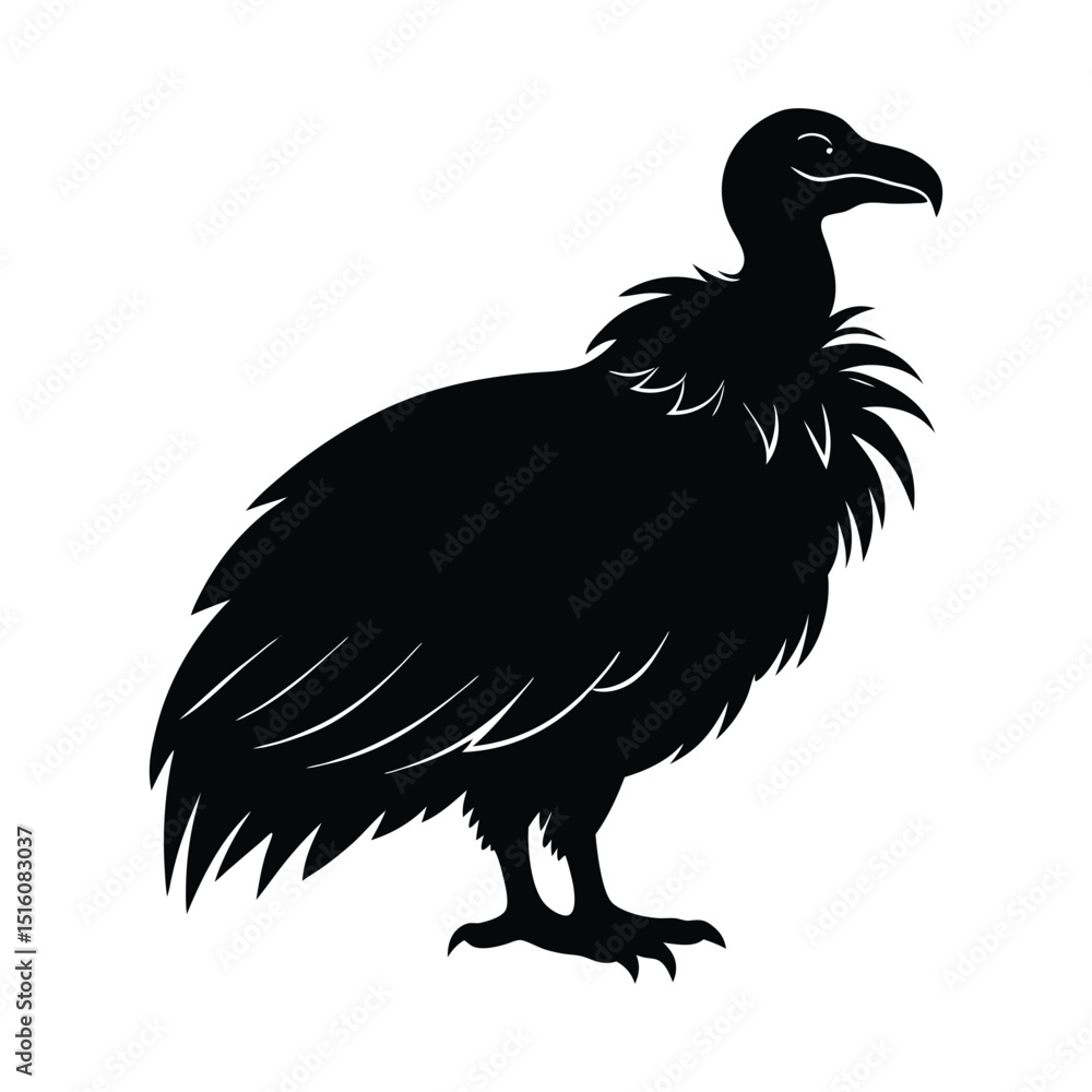 Fototapeta premium Vulture Vector Silhouette