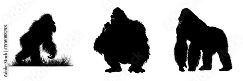 A modern illustration of a gorilla silhouette is set against a white background
