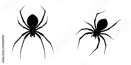 An arachnid icon is represented by a black cartoon spider silhouette isolated on a white background