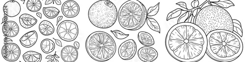A hand drawn outline of black and orange doodle fruits is set against a white background in doodle style