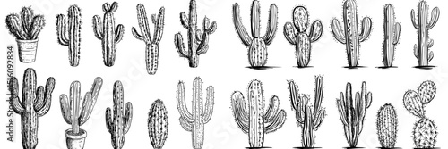 Modern engraving style cactus set illustration accompanied by a cactus hand-drawn imitation sketch