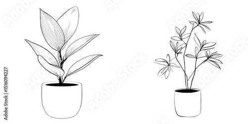The sketch of an indoor plant in a pot is a stylish example of minimalist home decor