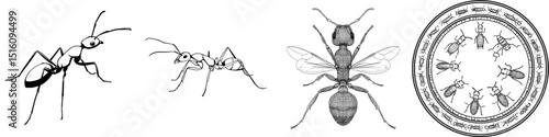The term 'Ant Line Drawing Silhouette Clean and Minimalist Modern Art' is a descriptive phrase