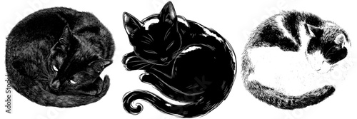 The digital painting of a black cat sleeping curled up is of good quality and rendered in watercolor style