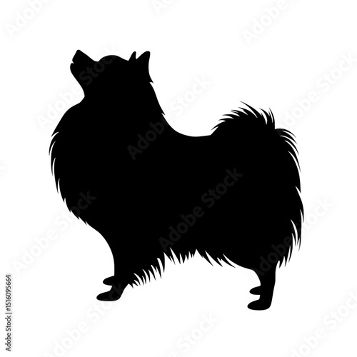 Isolated, the German Spitz dog breed is illustrated in modern style as a silhouette, and classified as a small pet