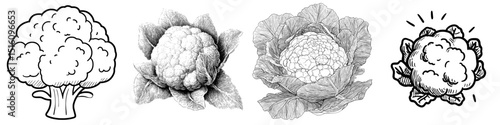 A minimalist line art icon representing a cauliflower vegetable