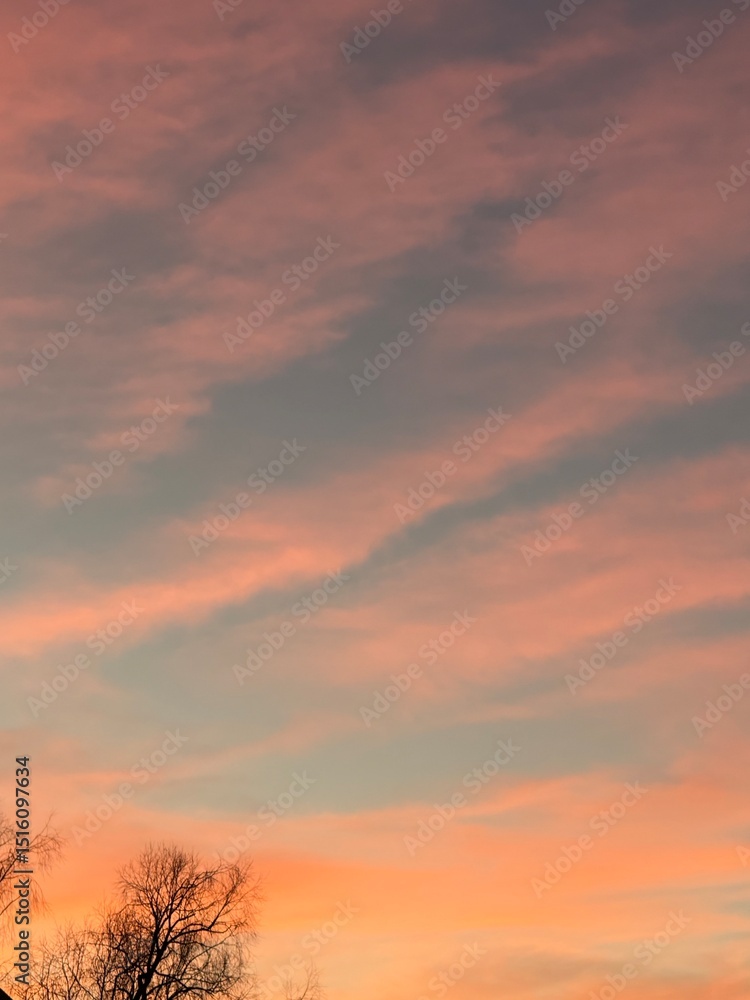 Fototapeta premium sunset in the sky
