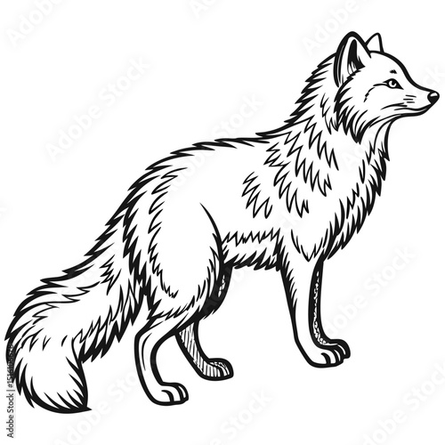 fox vector illustration