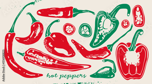 Various red, green hot chili Peppers. Whole, sliced, cut. Top, side view. Different types. Hand drawn modern Vector illustration. Farm market, natural eco product concept. Isolated design elements