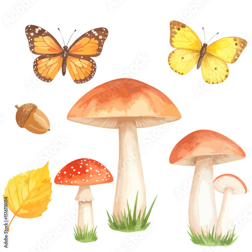 Fresh natural edible brown and white forest mushrooms isolated on a white background