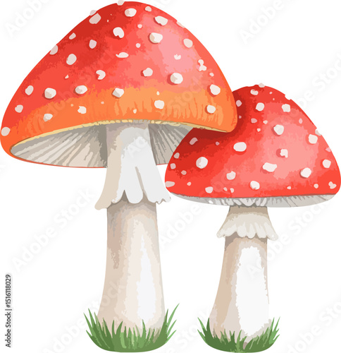 Red and white fly agaric amanita muscaria mushrooms in a forest, an iconic poisonous toadstool in autumn nature illustration