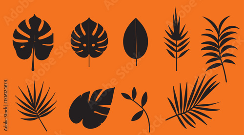 tropical leaf vector 