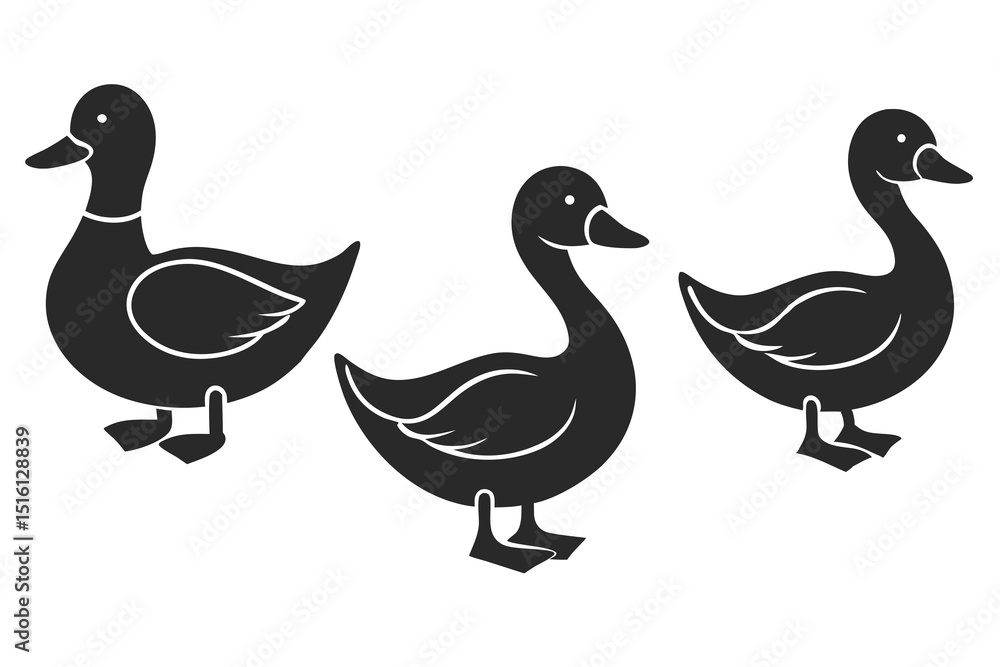 set of Duck icon vector silhouette illustration isolated on white background set of Duck icon vector silhouette illustration isolated on white background