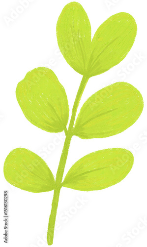 Bright Green Leaf Branch Hand-drawn Illustration