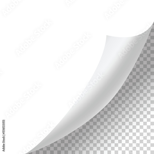 Curled paper corner. Curve page corner, page edge curl and bent paper sheet with realistic shadow. Paper corner fold isolated on white background