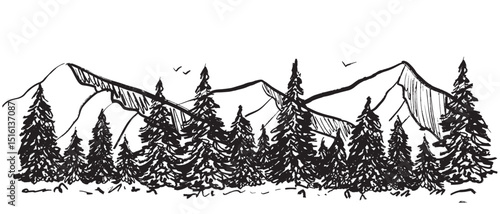 Mountain range landscape with evergreen pine trees, birds flying in black brush stroke texture isolated on white. Hand drawn vector sketch illustration in vintage charcoal ink. Everest Mountain card.