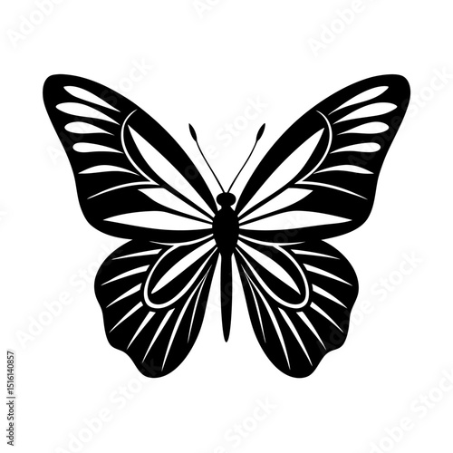 Black and White Butterfly Silhouette with Detailed Symmetrical Wings | High-Contrast Geometric Patterns