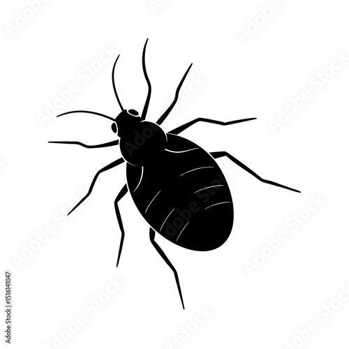 Vector Design of Aphid: Small  Body with Black Eyes photo