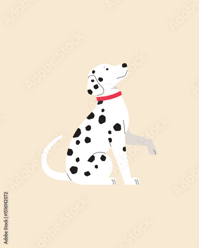 Dalmatian. Dog. Vector color image.