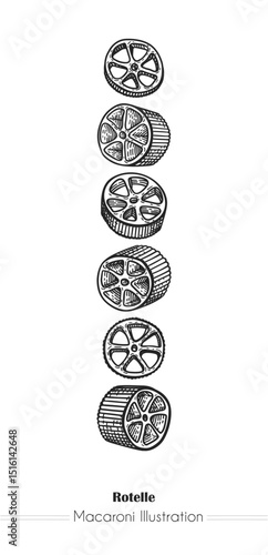 Rotelle Italian Pasta. Vector hand-drawn sketch of food. Vintage style engraving. etching. Line art