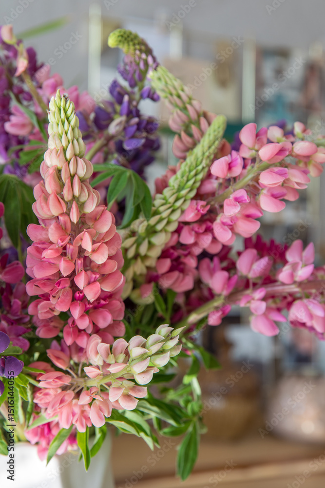 Obraz premium Beautiful bouquet of pink and purple lupines