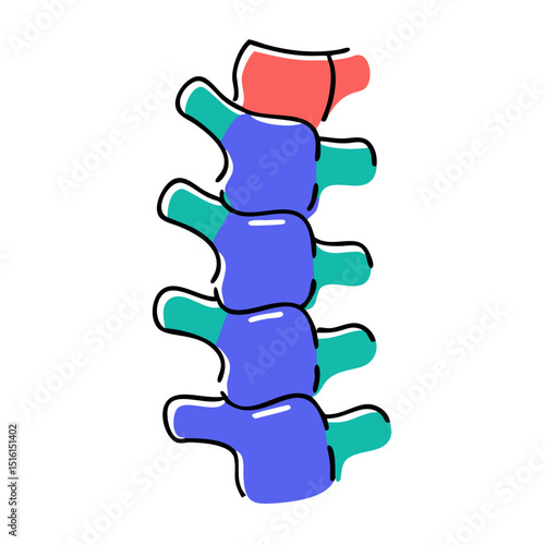 Human spine vertebrae in colorful minimal outline style