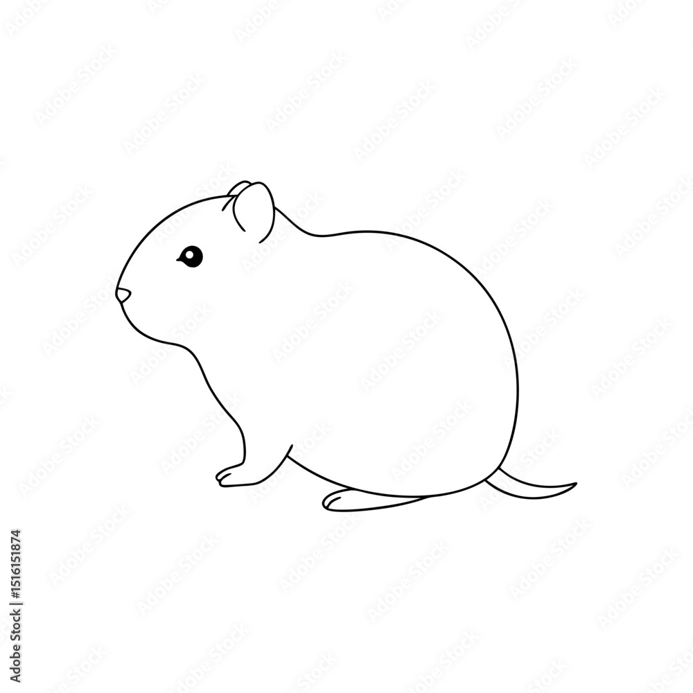 Anderson Vole Rodent Species Microtus Andersoni Isolated On A White Backdrop Anderson Vole Rodent Species Microtus Andersoni Isolated On A White Backdrop