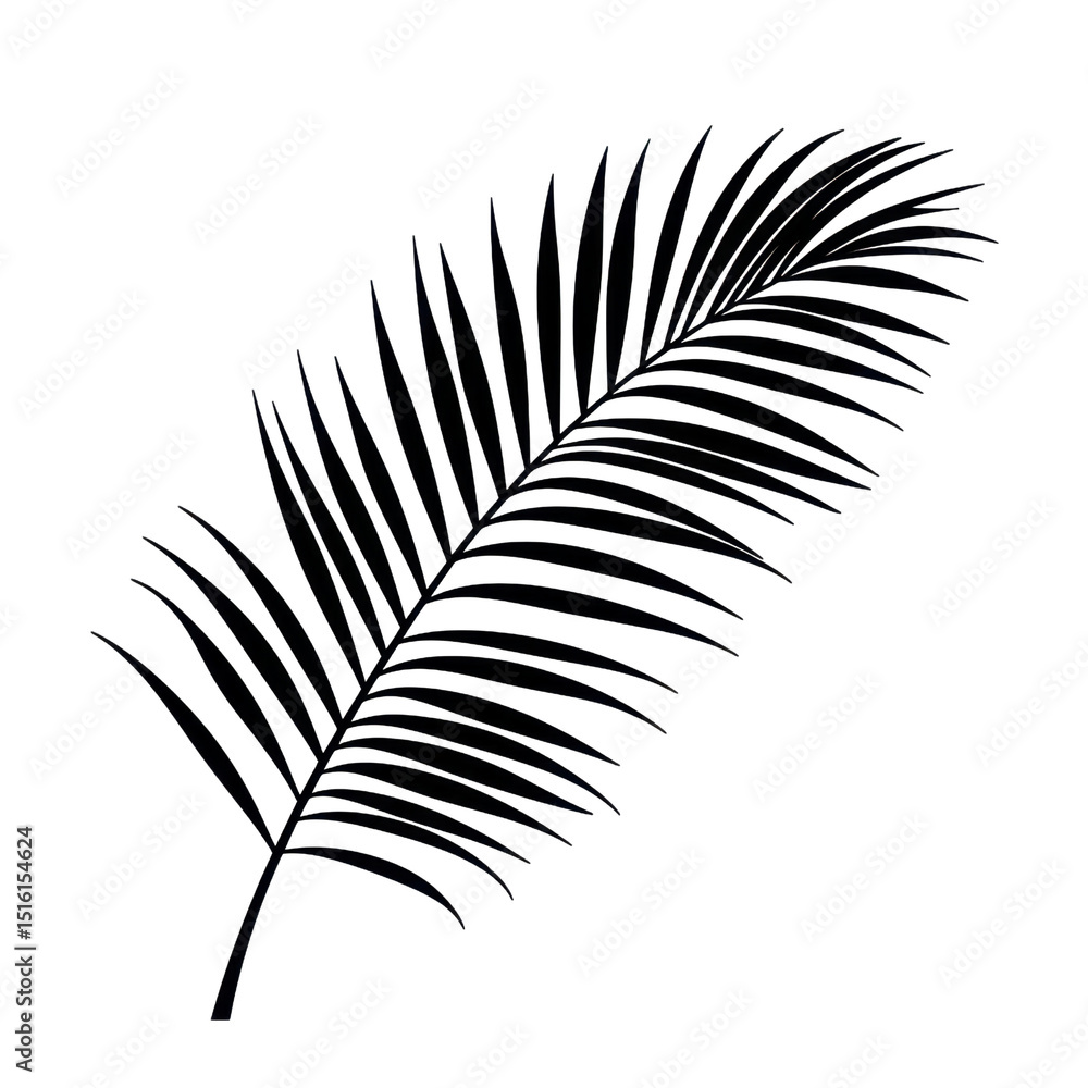 Fototapeta premium Elegant Palm Leaf Design on White Background for Tropical, Nature and Summer-Themed Projects and Illustrations transparent background, png
