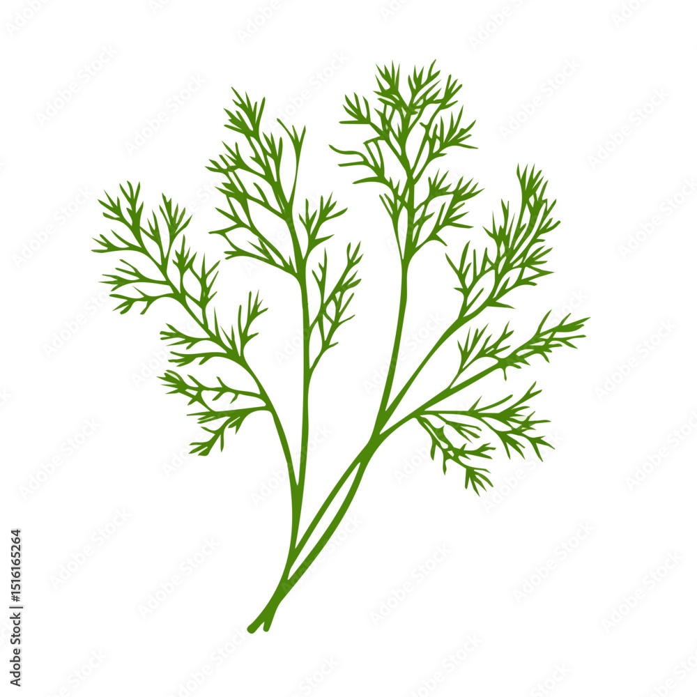 My Simple flat 2D icon, dill leaves isolated on a transparent background, vector, flat design, animation design, simple flat 2D icon, minimalist design, clipart. eps My Simple flat 2D icon, dill leaves isolated on a transparent background, vector, flat design, animation design, simple flat 2D icon, minimalist design, clipart. eps