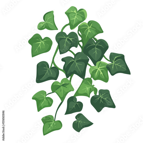 My Simple flat 2D icon, ivy plant isolated on a transparent background, vector, flat design, animation design, simple flat 2D icon, minimalist design, clipart. eps