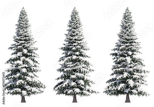 Spruce Tree Snow  isolated on transparant background. 3d rendering