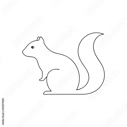 Groove Toothed Squirrel Discover Unique African Rodent and Wildlife Behavior