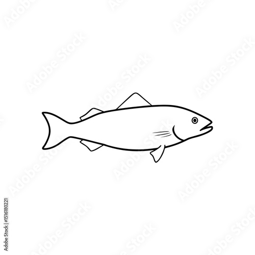 Fresh Haddock Fish Explore Popular Seafood for Healthy Cooking Recipes