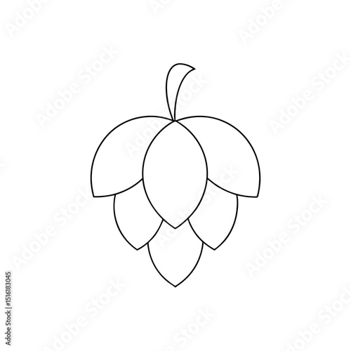 Fresh Hop Vine Cones Botanical Plant Beer Ingredient Illustration