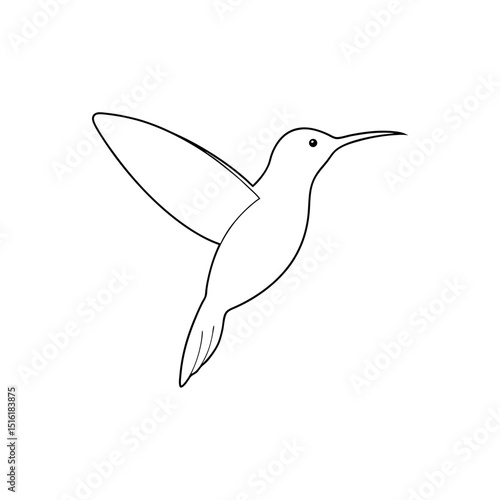Ruby Throated Hummingbird Tiny Bird Wildlife Animal Illustration
