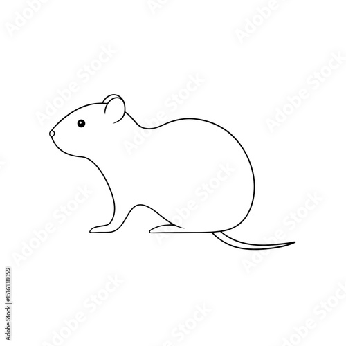 The Levant Vole A Small Rodent From The Middle East On A White Background