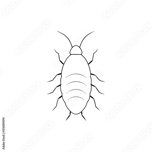 A Louse A Small Parasitic Insect That Lives On Hair On A White Canvas