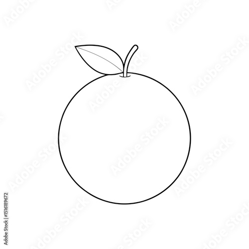 The Lucuma Fruit A Subtropical Fruit From The Andes On A Simple White Canvas
