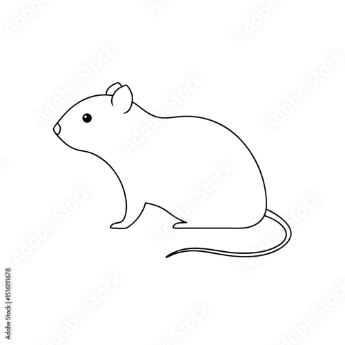 The Mediterranean Pine Vole A Small Rodent From Europe On A White Floor