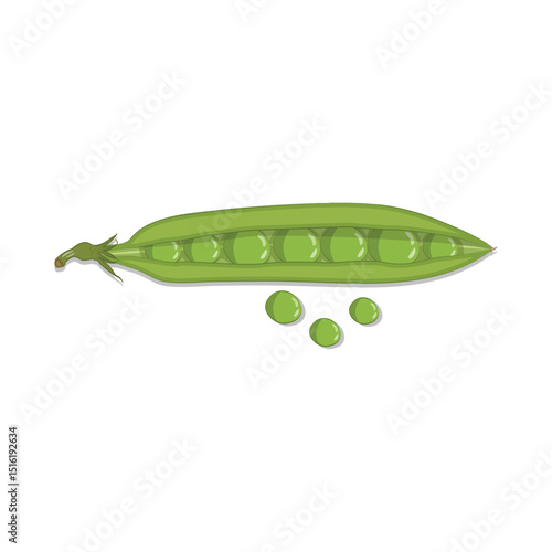 Green Pea Icon Vector Design.
