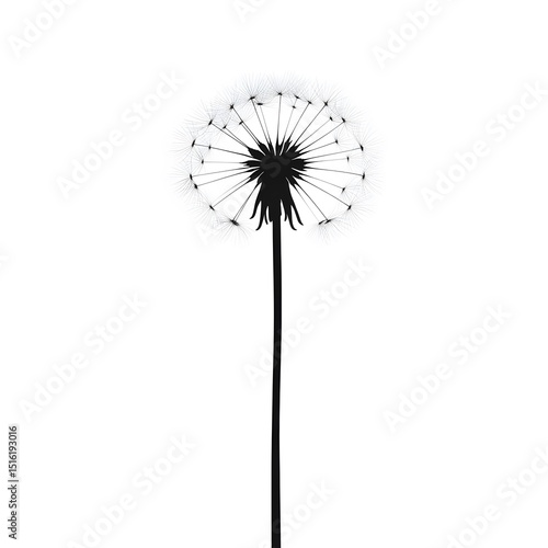 Wallpaper Mural Sleek Modern Flat-Style Dandelion Silhouette Vector Artwork with Pristine White Transparent Background Torontodigital.ca
