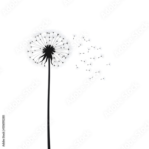 Wallpaper Mural Clean Minimalist 2D Vector Dandelion Silhouette Illustration on Crisp White Background Torontodigital.ca