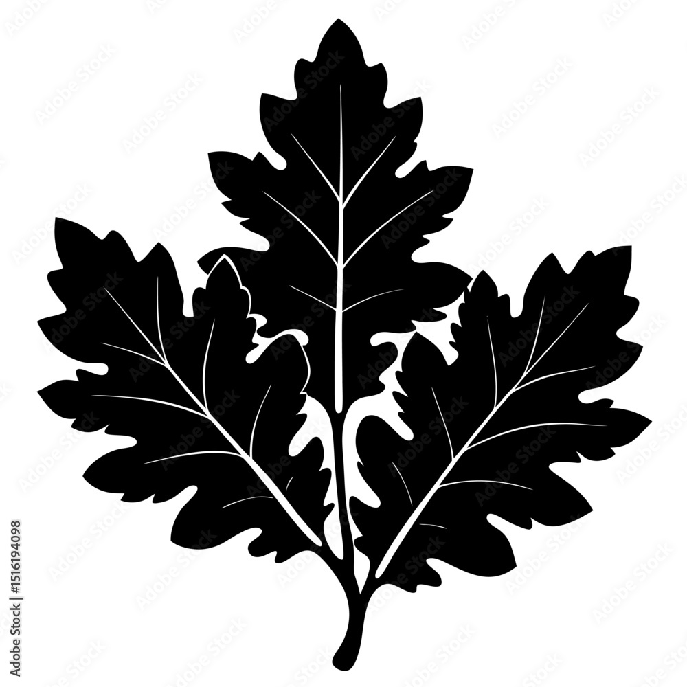 Fototapeta premium maple leaf silhouette