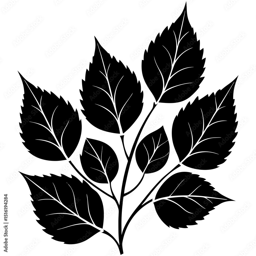 Obraz premium set of leaves