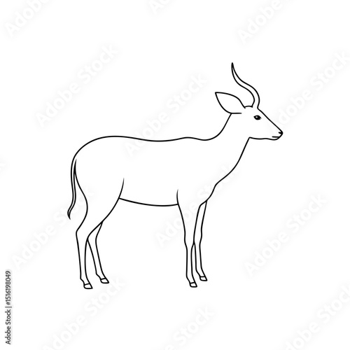 The Nyala An Antelope Species From Southern Africa On A White Background