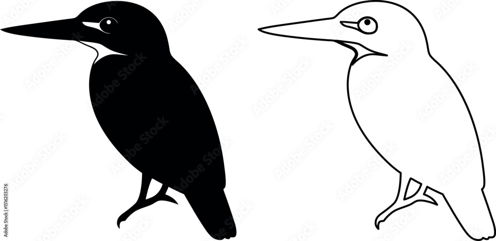 Obraz premium Colorful Kingfisher Bird Vector Illustration with Detailed Plumage and Dynamic Pose